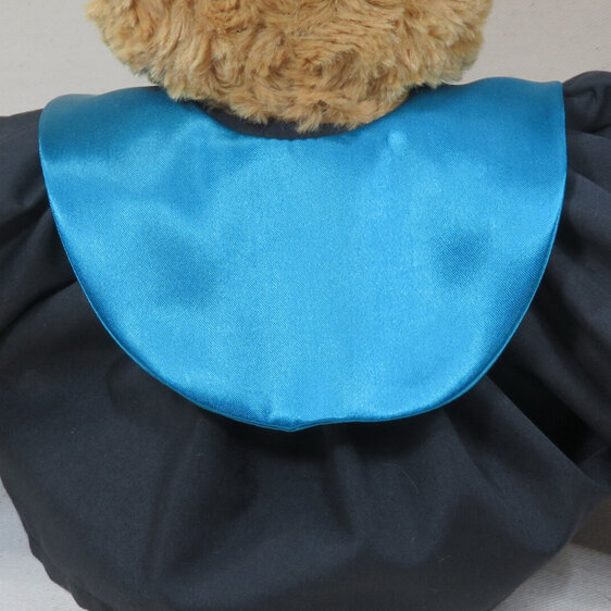Doctorate of Education Roly Bear with Stole