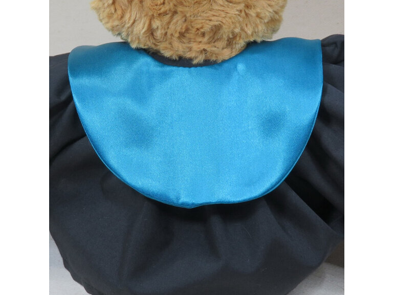 Doctorate of Education Roly Bear with Stole