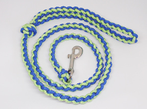 Dog lead, blue and light green