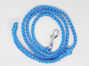 Dog lead, blue, red and white
