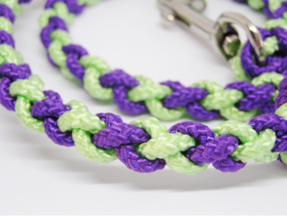 Dog lead in purple and green with spring clasp