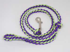 Dog lead in purple and light green, strong