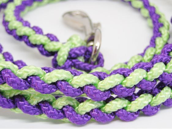 Dog lead in purple and light green with spring clip