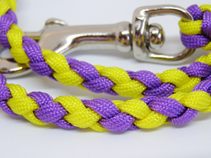 Dog lead in purple and yellow with spring clip