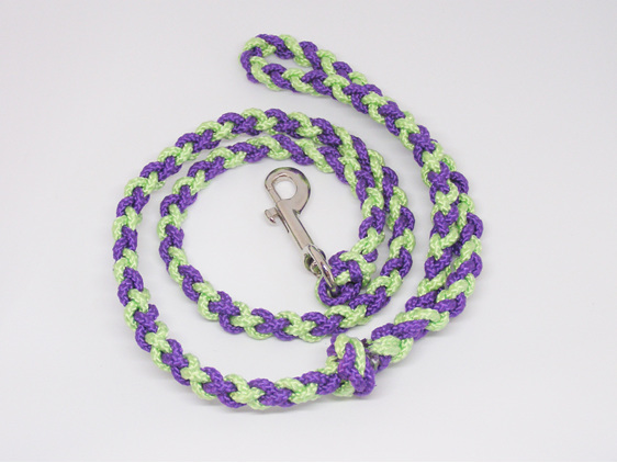 Dog lead, purple and green