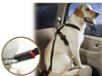 Dog Seat Belts - keep your hound safe