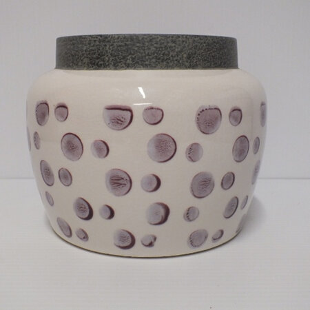 Dot Print container C3821