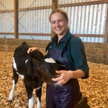 Dr Alana Mockett, Farm & Equine Vet Pukekohe