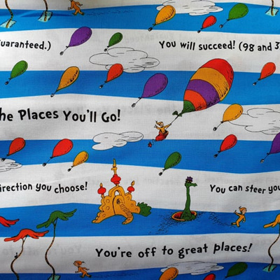 Dr Seuss - Oh The Places You Will Go - Main Stripe
