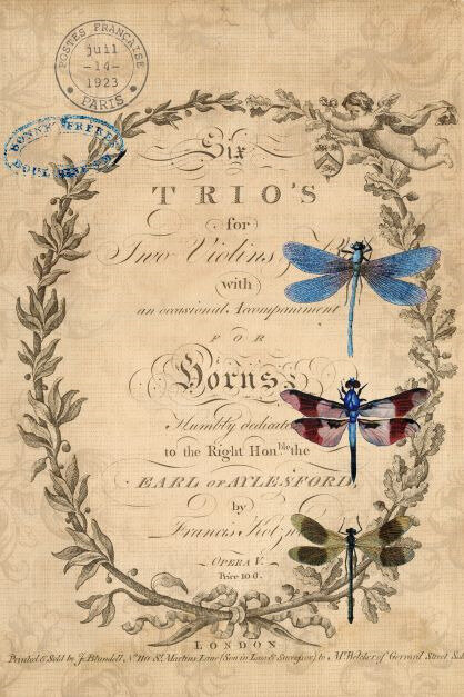Dragonflies Royce Decoupage Paper