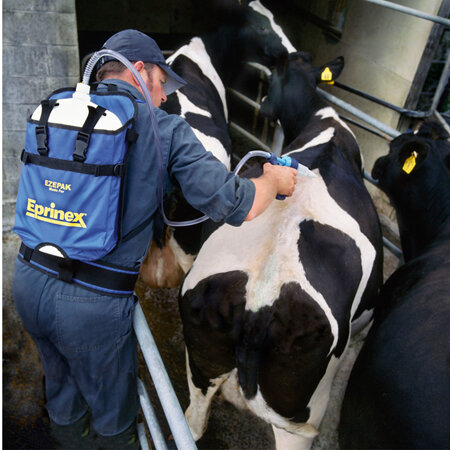 Drenching to boost milk production