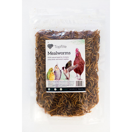 Dried Meal Worm 125g