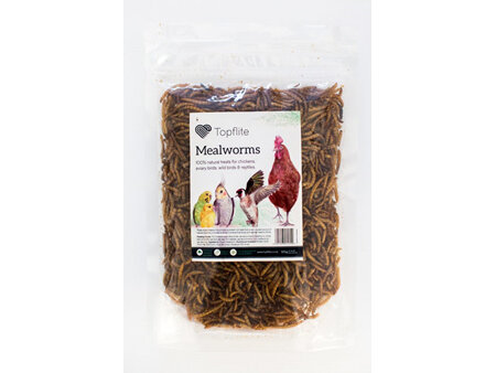 Dried Meal Worm 125g
