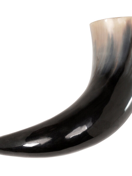 Drinking Horn Type 4 - Extra  Large  Plain Horn