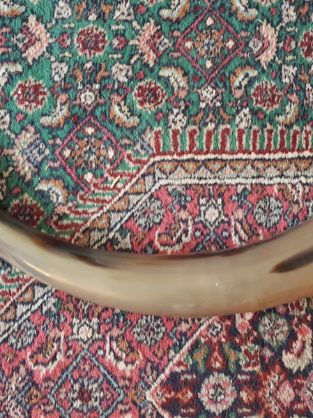 Drinking Horn Type 4A - Extra  Large  Plain Horn (Capacity Approx 1.5 Litres)
