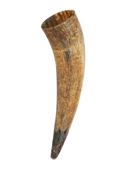 Drinking Horn Type 60 - Plain Horn with Natural Finish