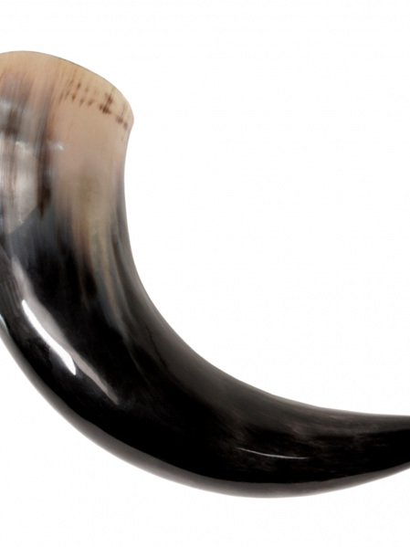 Drinking Horn Type Horn 4B -  Plain Super-Large Horn (approx 2 - 2.5 Litres)