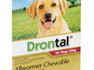Drontal® Allwormer Chewable for Dogs 10kg or 35kg