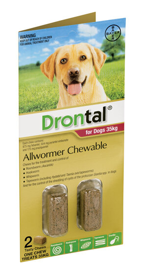 Drontal® Allwormer Chewable for Dogs 10kg or 35kg