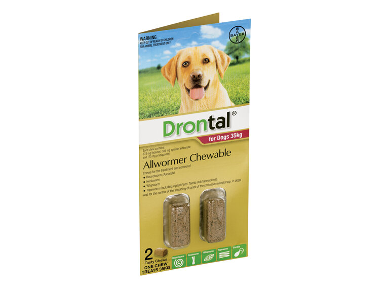 Drontal® Allwormer Chewable for Dogs 10kg or 35kg