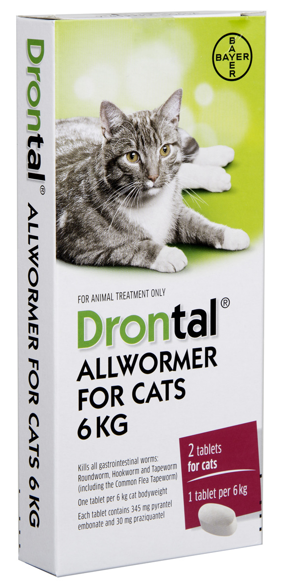 Drontal® Allwormer For Cats 4kg or 6kg Veterinary Services (Hawkes