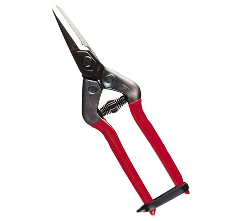 E-6c Secateurs with jagged blade for flowers