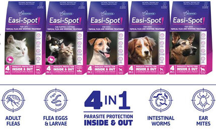 Easi-Spot Flea & Worm Treatment - Cat & Dog