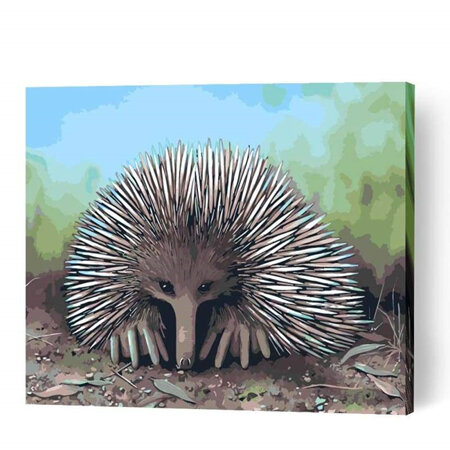 Echidna - Paint By Numbers - Canvas On Wooden Frame