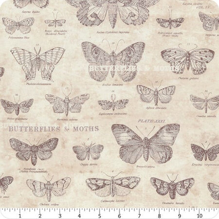 Eclectic Elements Monochrome Parchment Butterflies PWTH004-Parchment