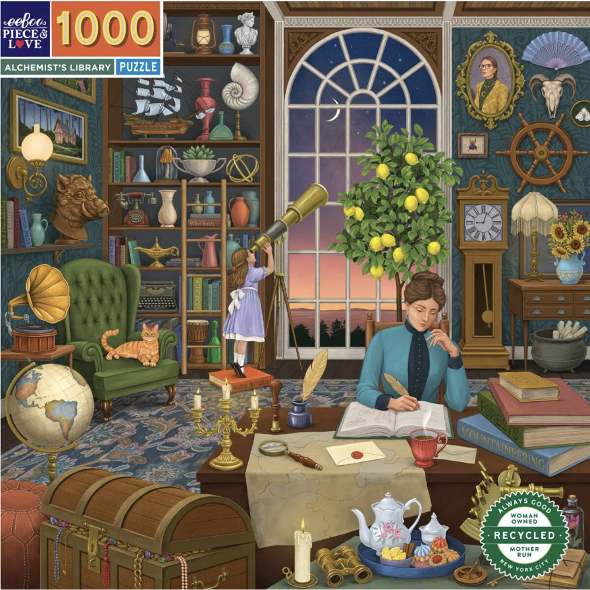 EeBoo Alchemist's Library 1000 Piece Puzzle