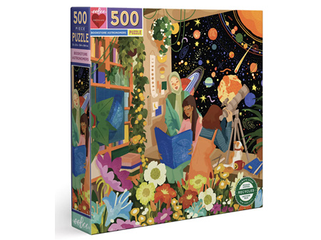 EeBoo Bookstore Astronomers 500 Piece Puzzle
