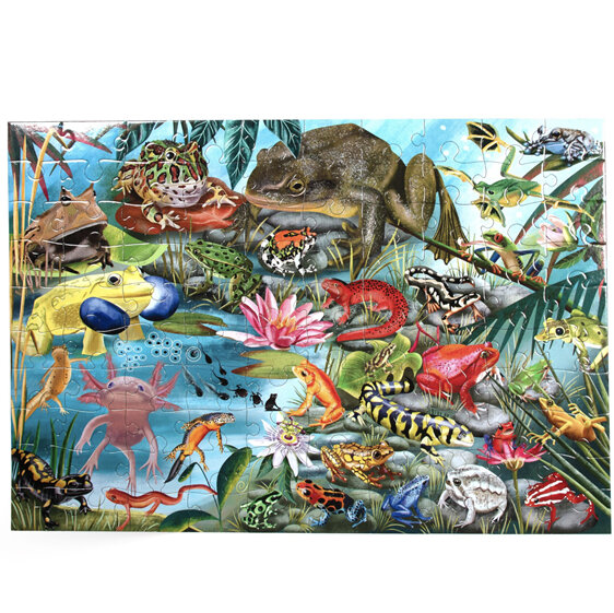 EeBoo Love of Amphibians 100 Piece Puzzle