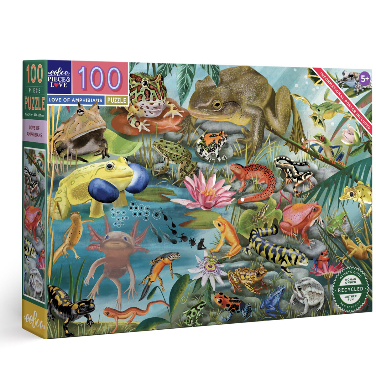 EeBoo Love of Amphibians 100 Piece Puzzle *NEW!*