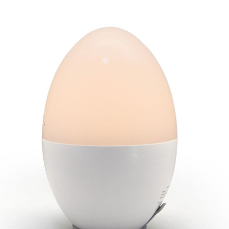 Egg Rechargeable Night Light