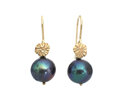 Elise solid 9k gold stars peacock pearls earrings lily griffin nz jeweller