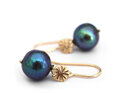 Elise solid 9k gold stars peacock pearls earrings lily griffin nz jewellery