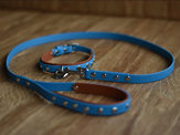Embellished Collar and Lead Set