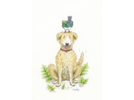 Emily Kelly - Dog & Kereru Card
