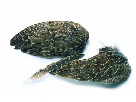 English Partridge Grey Whole Wings