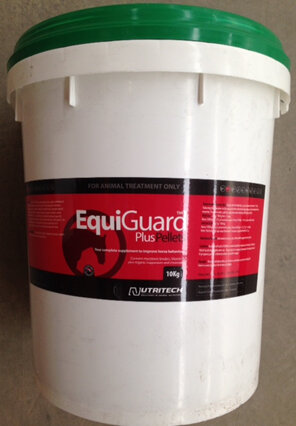 EquiGuard Plus Pellets 10kg