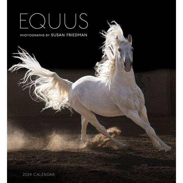 Equus 2024 Wall Calendar by Pomegranate