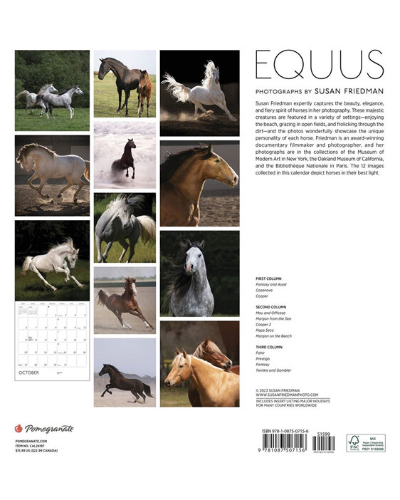 Equus 2024 Wall Calendar by Pomegranate horse