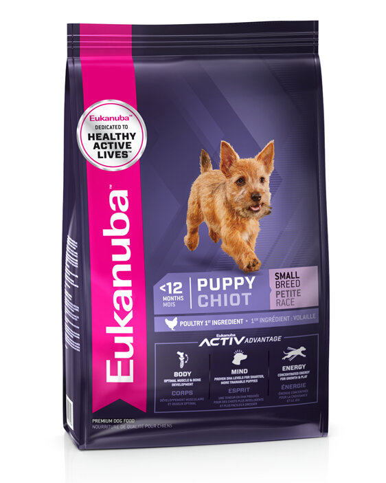 Eukanuba Small Breed Puppy