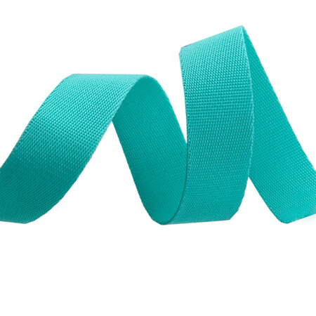 EverGlow Webbing - Spirit/Teal 1"