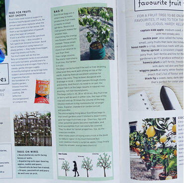 EverGrow Bags receive great review from Edible Backyard's Kath Irvine