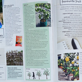 EverGrow Bags receive great review from Edible Backyard's Kath Irvine