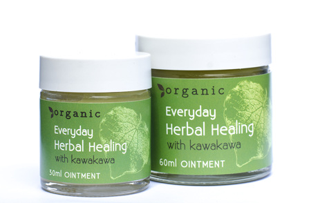 Everyday Herbal Healing