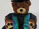 Faculty of Health Roly Bear with Stole