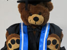 Faculty of Science Roly Bear with Stole