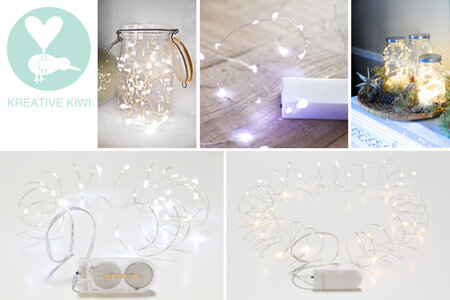 Fairy Lights - Seed Wire Lights